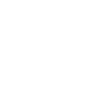 Turkish airlines
